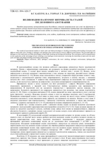 Ескіз