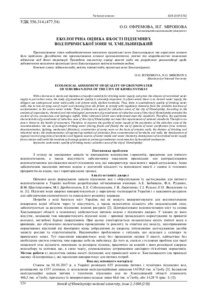 Ескіз