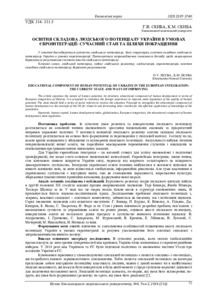 Ескіз